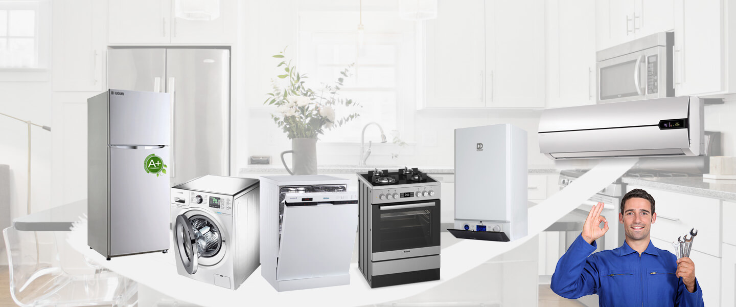 Bodrum Viessmann Servisi
